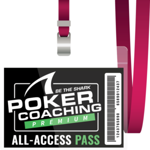All Access Pass (Gemmy)
